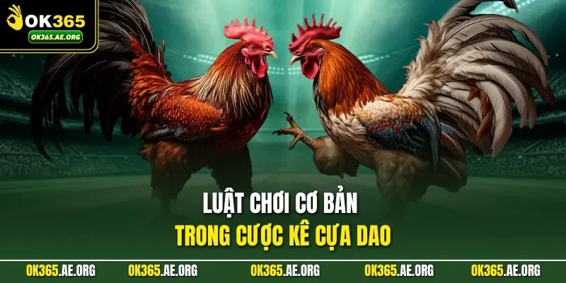 Đá Gà Cựa Dao | Quan Sát Thế Đòn, Đặt Cược Chuẩn Xác 2 Luật chơi cơ bản trong cược kê cựa dao