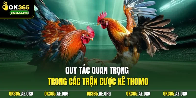 Đá Gà Thomo – Trận Đấu Rực Lửa, Bùng Nhịp Cao Trào 2 Quy tắc quan trọng trong các trận cược kê Thomo