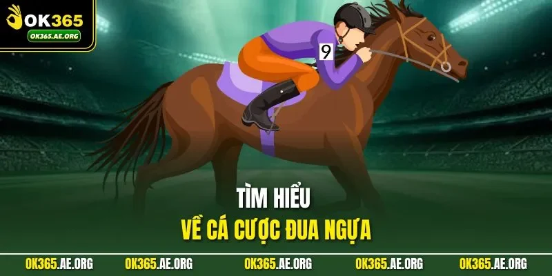 Cá Cược Đua Ngựa | Sách Lược Chơi Rinh Thưởng Khủng 1 Tìm hiểu về cá cược đua ngựa