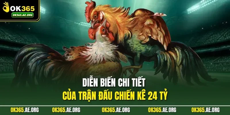 Trận Đá Gà 24 Tỷ Ở OK365 - Thu Hút Sự Chú Ý Của Người Xem 3 Diễn biến chi tiết của trận đấu chiến kê 24 tỷ