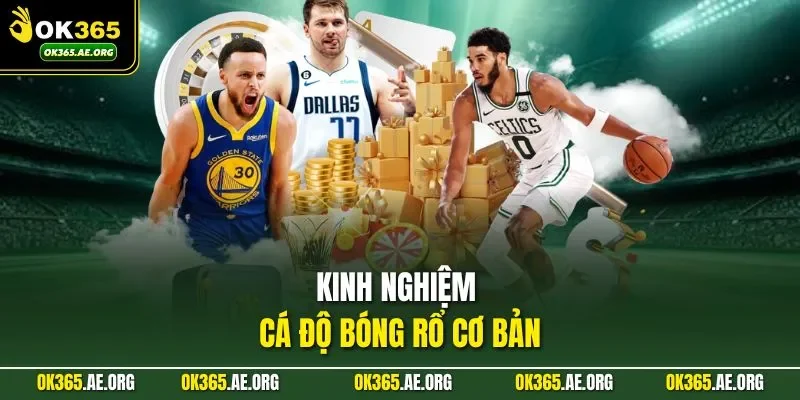 Cá Độ Bóng Rổ Ở OK365 - Diễn Biến Nhanh Và Đa Dạng Loại Kèo 3 Kinh nghiệm cá độ bóng rổ cơ bản