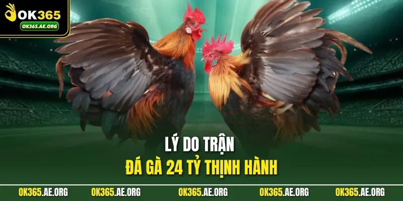 Trận Đá Gà 24 Tỷ Ở OK365 - Thu Hút Sự Chú Ý Của Người Xem 2 Lý do trận đá gà 24 tỷ thịnh hành