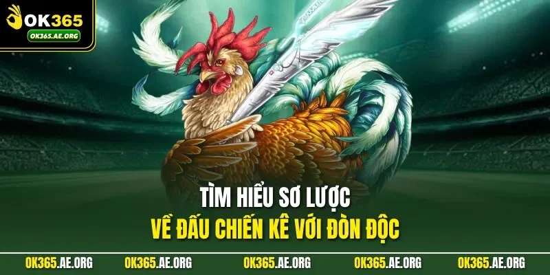 Gà Đá Đòn Độc Ở OK365 - Làm Chủ Trận Đấu, Chiến Thắng Cao 1 Tìm hiểu sơ lược về đấu chiến kê với đòn độc